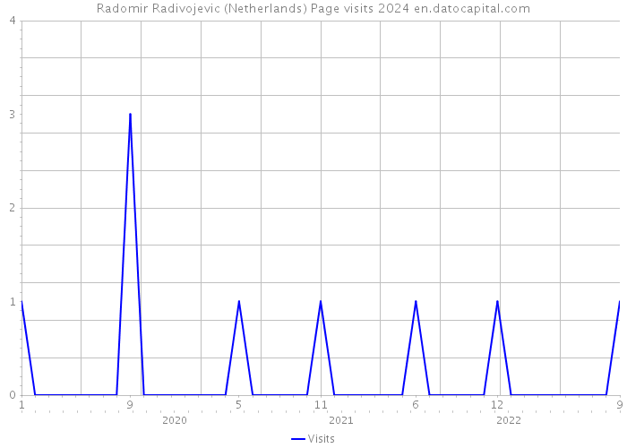 Radomir Radivojevic (Netherlands) Page visits 2024 