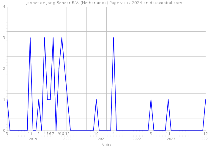 Japhet de Jong Beheer B.V. (Netherlands) Page visits 2024 