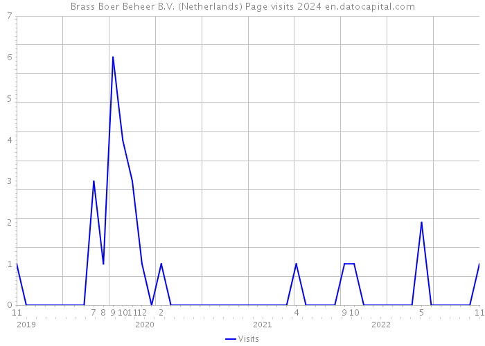 Brass Boer Beheer B.V. (Netherlands) Page visits 2024 