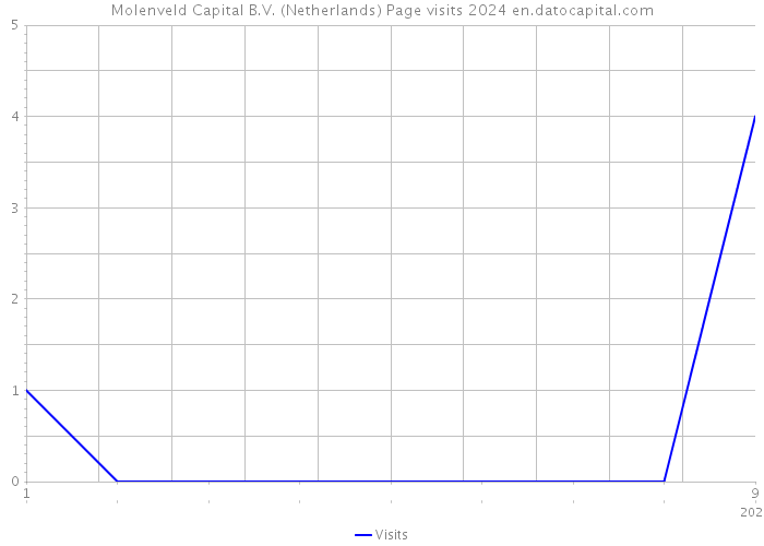 Molenveld Capital B.V. (Netherlands) Page visits 2024 