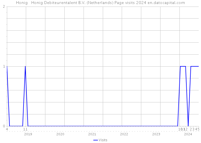 Honig + Honig Debiteurentalent B.V. (Netherlands) Page visits 2024 