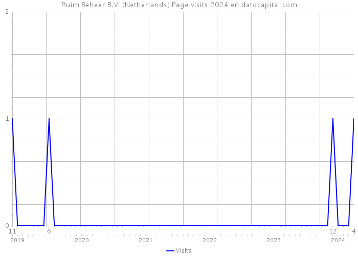 Ruim Beheer B.V. (Netherlands) Page visits 2024 