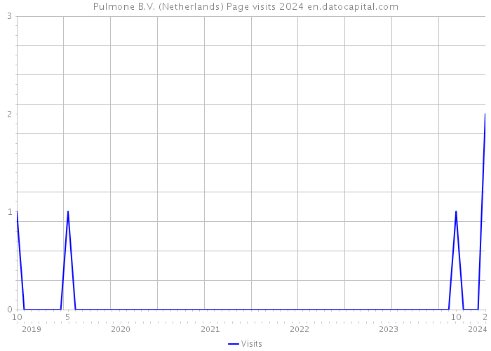 Pulmone B.V. (Netherlands) Page visits 2024 