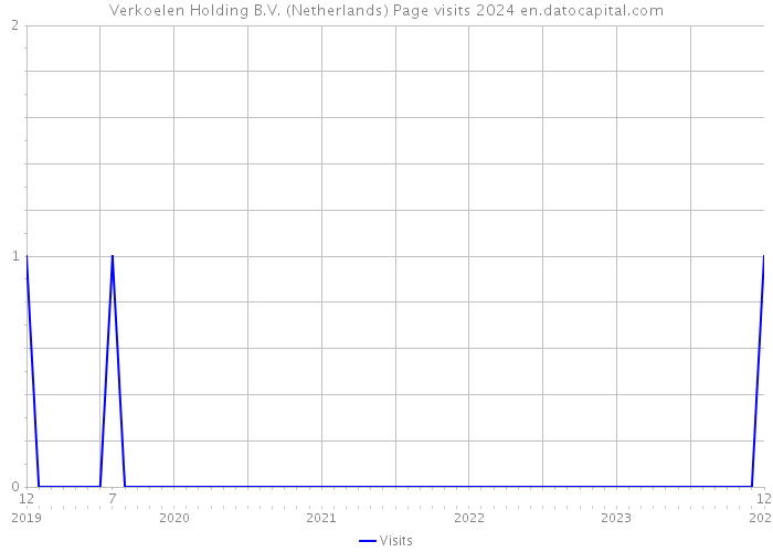Verkoelen Holding B.V. (Netherlands) Page visits 2024 