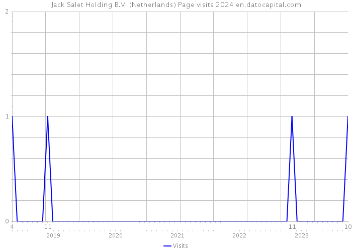 Jack Salet Holding B.V. (Netherlands) Page visits 2024 