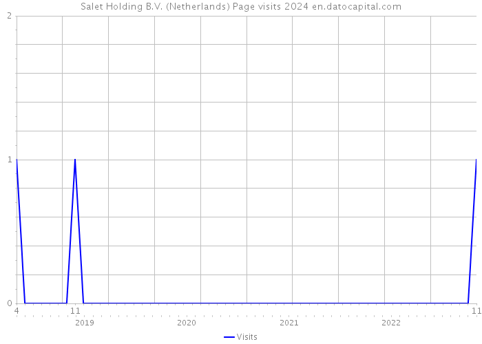 Salet Holding B.V. (Netherlands) Page visits 2024 