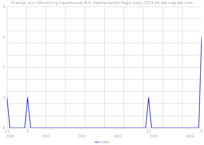 Praktijk voor Mondzorg Kaatsheuvel B.V. (Netherlands) Page visits 2024 