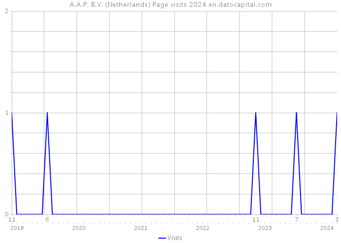 A.A.P. B.V. (Netherlands) Page visits 2024 