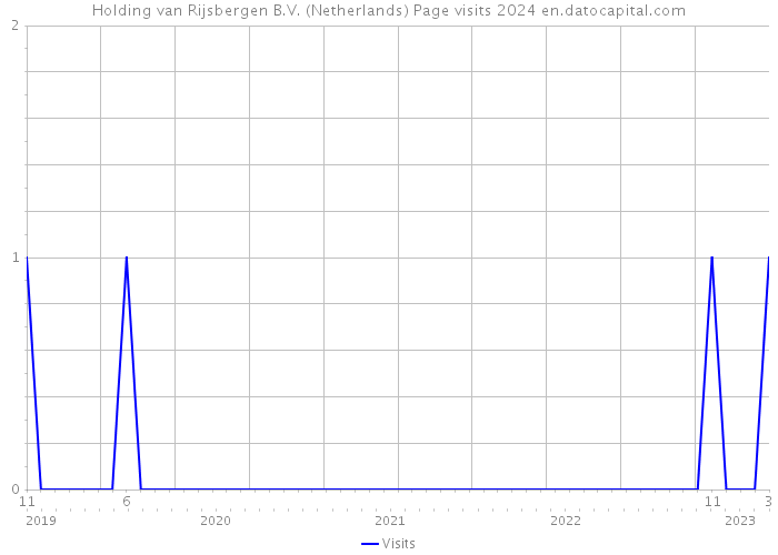 Holding van Rijsbergen B.V. (Netherlands) Page visits 2024 