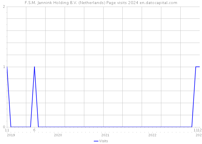 F.S.M. Jannink Holding B.V. (Netherlands) Page visits 2024 