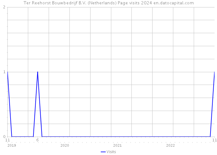 Ter Reehorst Bouwbedrijf B.V. (Netherlands) Page visits 2024 