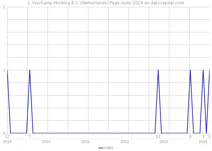 J. Veerkamp Holding B.V. (Netherlands) Page visits 2024 