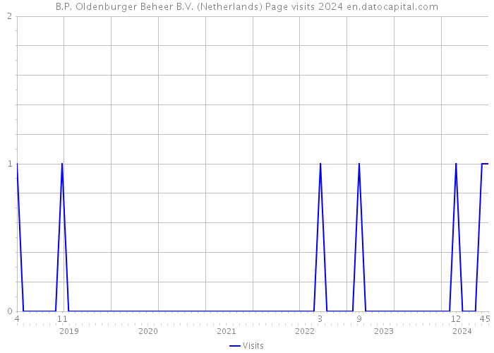 B.P. Oldenburger Beheer B.V. (Netherlands) Page visits 2024 