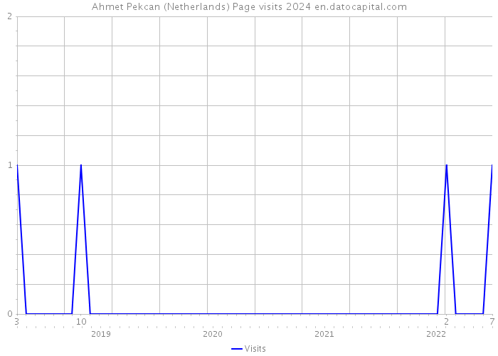 Ahmet Pekcan (Netherlands) Page visits 2024 