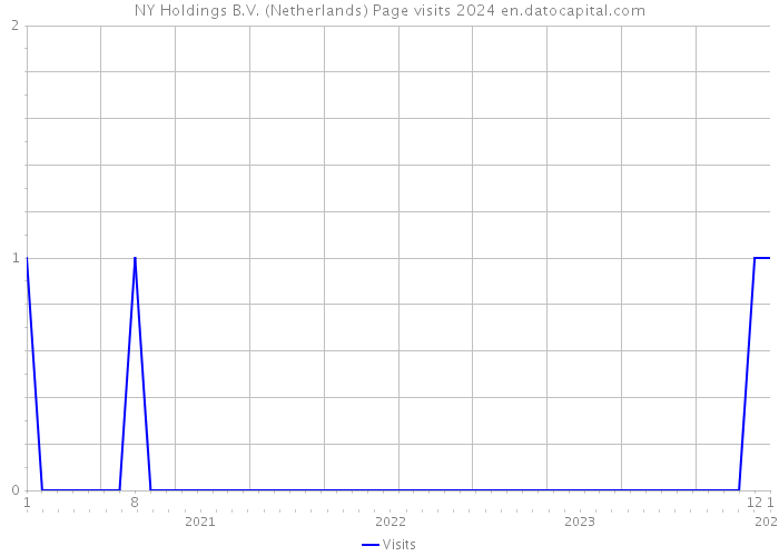 NY Holdings B.V. (Netherlands) Page visits 2024 