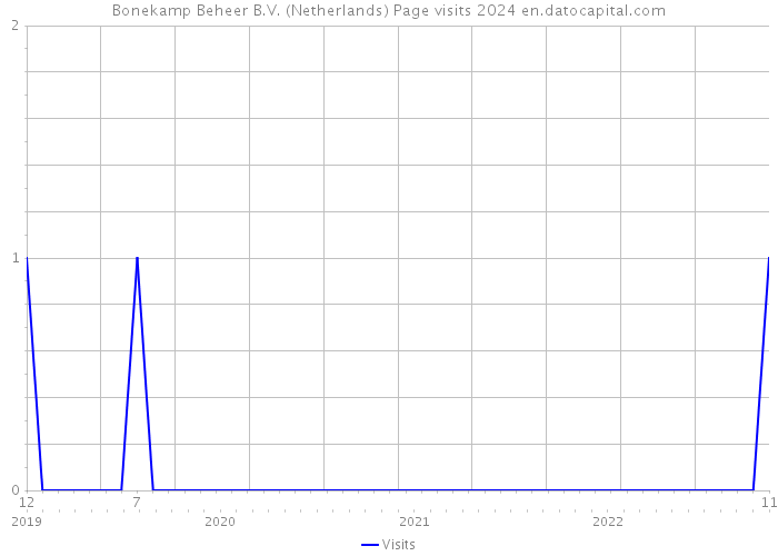Bonekamp Beheer B.V. (Netherlands) Page visits 2024 