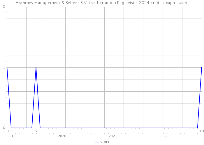 Hommes Management & Beheer B.V. (Netherlands) Page visits 2024 