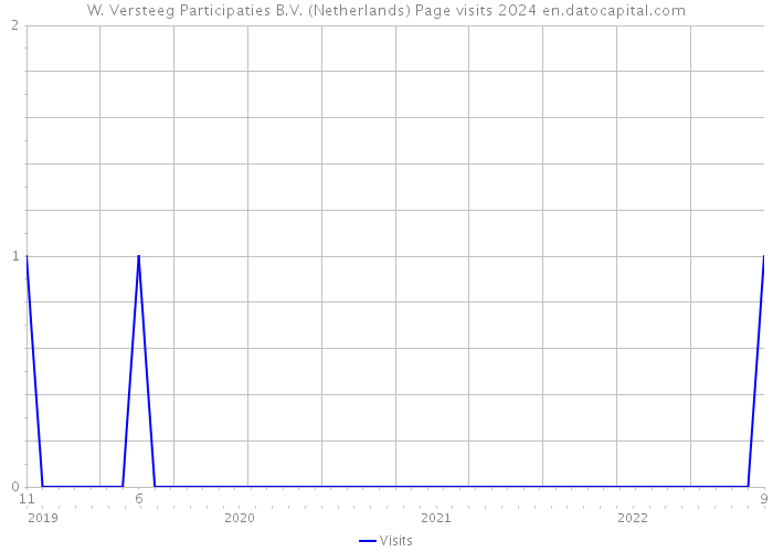 W. Versteeg Participaties B.V. (Netherlands) Page visits 2024 