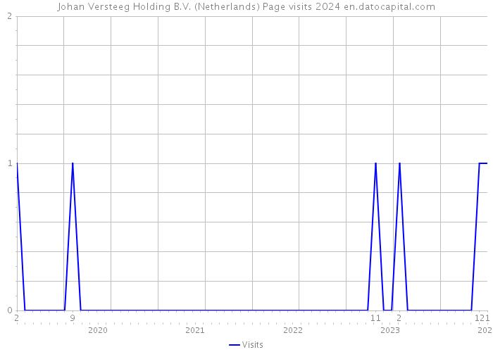 Johan Versteeg Holding B.V. (Netherlands) Page visits 2024 