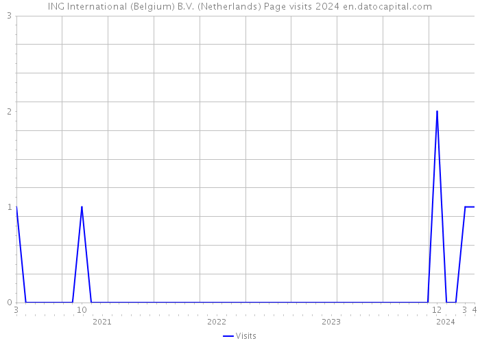 ING International (Belgium) B.V. (Netherlands) Page visits 2024 
