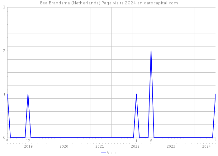 Bea Brandsma (Netherlands) Page visits 2024 