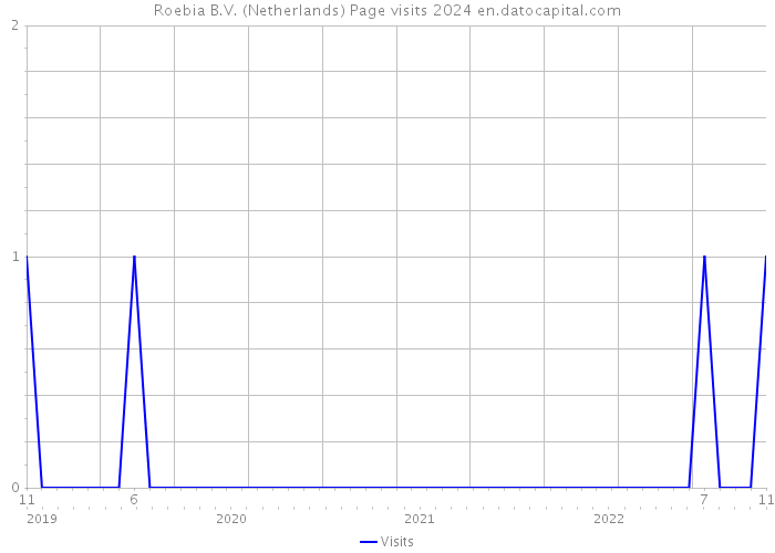Roebia B.V. (Netherlands) Page visits 2024 