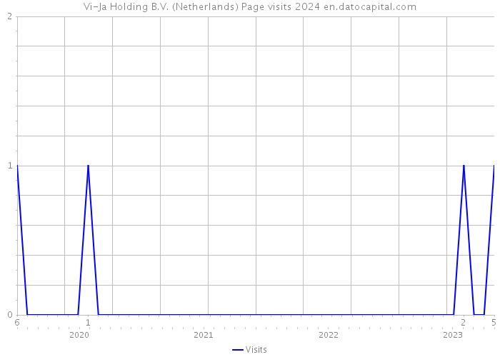 Vi-Ja Holding B.V. (Netherlands) Page visits 2024 