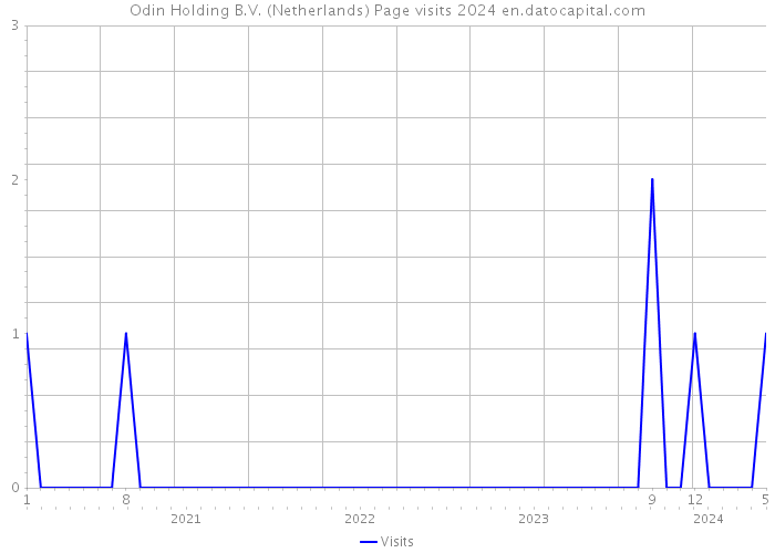 Odin Holding B.V. (Netherlands) Page visits 2024 