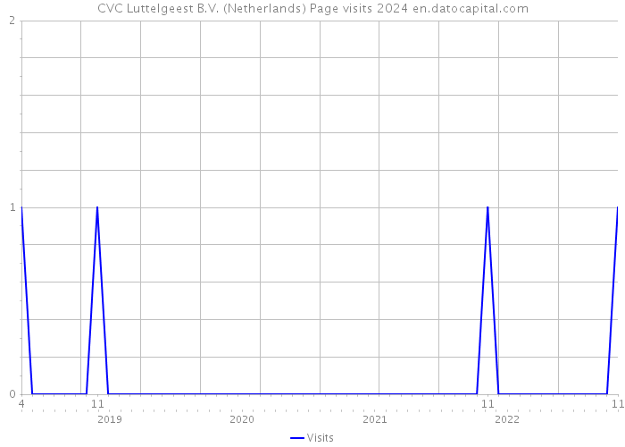CVC Luttelgeest B.V. (Netherlands) Page visits 2024 