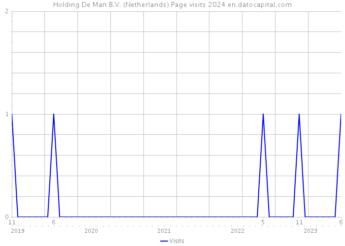 Holding De Man B.V. (Netherlands) Page visits 2024 