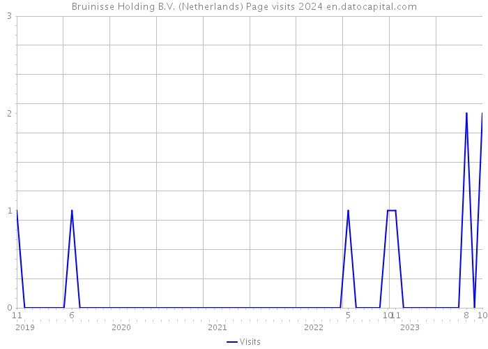 Bruinisse Holding B.V. (Netherlands) Page visits 2024 