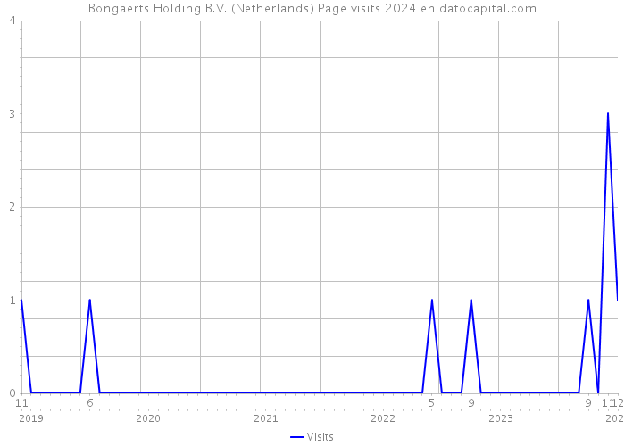 Bongaerts Holding B.V. (Netherlands) Page visits 2024 