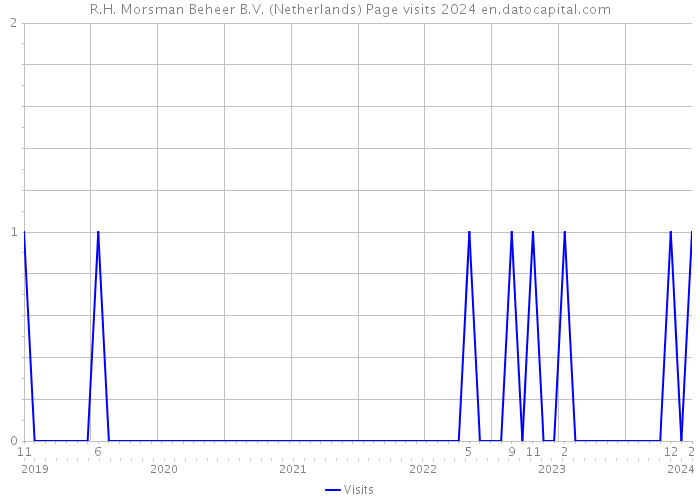 R.H. Morsman Beheer B.V. (Netherlands) Page visits 2024 