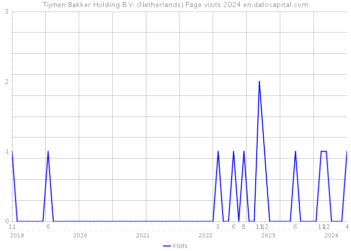 Tijmen Bakker Holding B.V. (Netherlands) Page visits 2024 
