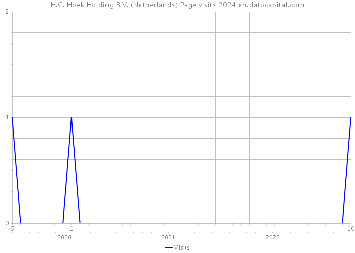 H.G. Hoek Holding B.V. (Netherlands) Page visits 2024 