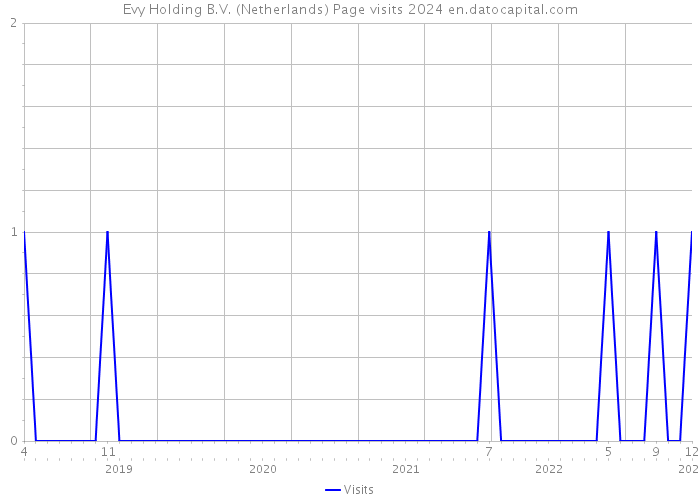 Evy Holding B.V. (Netherlands) Page visits 2024 