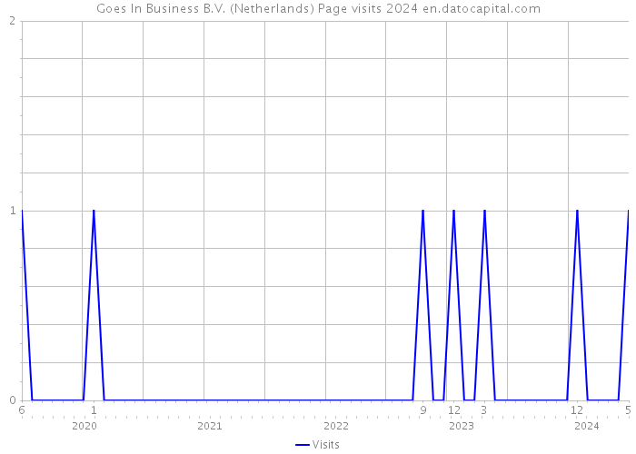 Goes In Business B.V. (Netherlands) Page visits 2024 