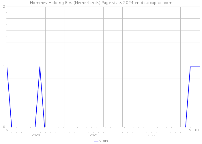Hommes Holding B.V. (Netherlands) Page visits 2024 