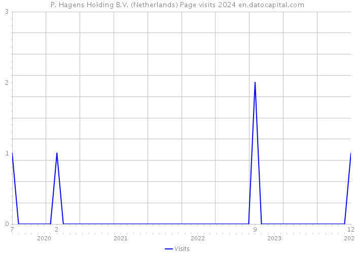P. Hagens Holding B.V. (Netherlands) Page visits 2024 
