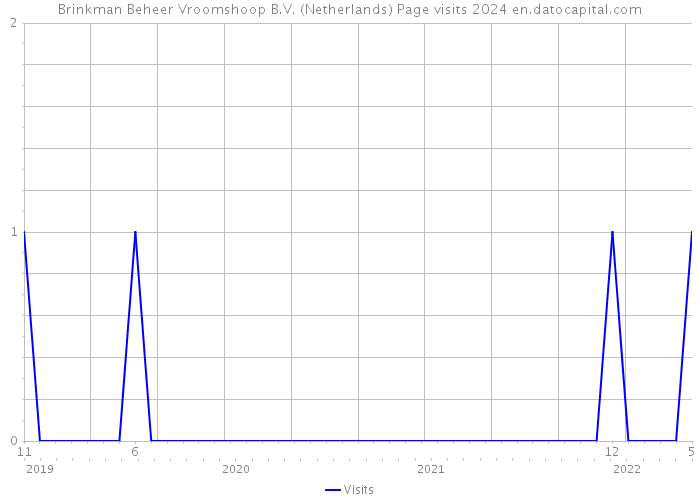 Brinkman Beheer Vroomshoop B.V. (Netherlands) Page visits 2024 