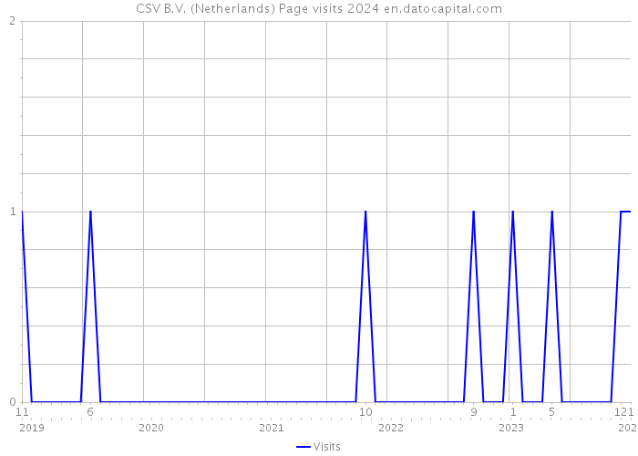 CSV B.V. (Netherlands) Page visits 2024 