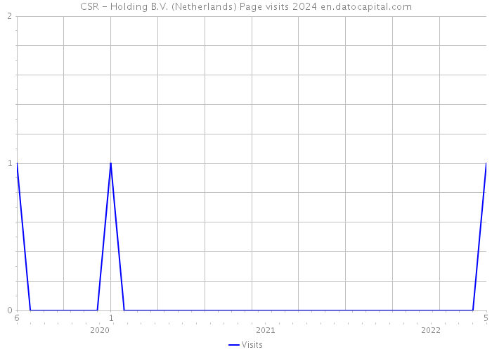 CSR - Holding B.V. (Netherlands) Page visits 2024 