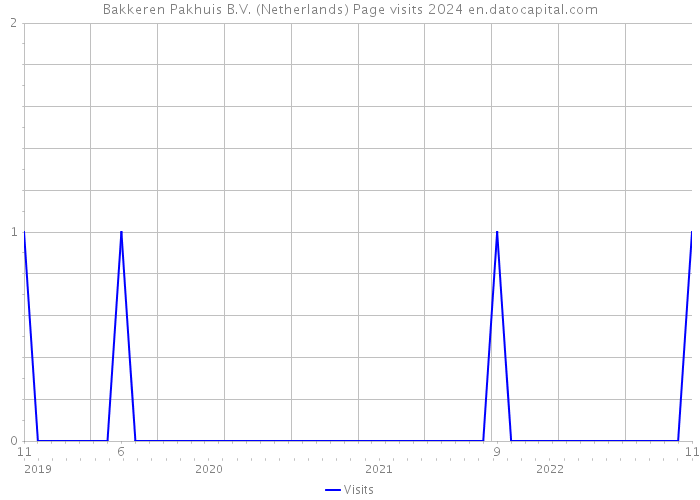 Bakkeren Pakhuis B.V. (Netherlands) Page visits 2024 