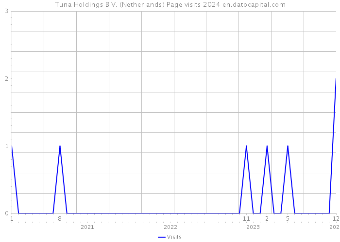 Tuna Holdings B.V. (Netherlands) Page visits 2024 