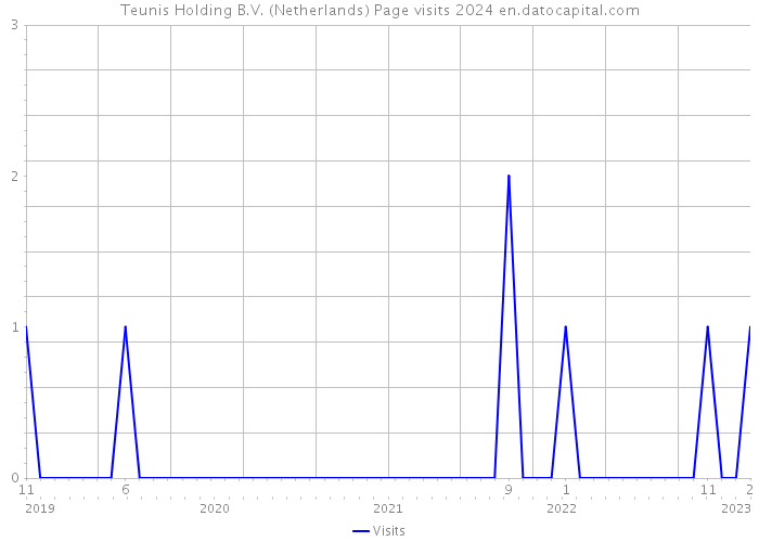 Teunis Holding B.V. (Netherlands) Page visits 2024 