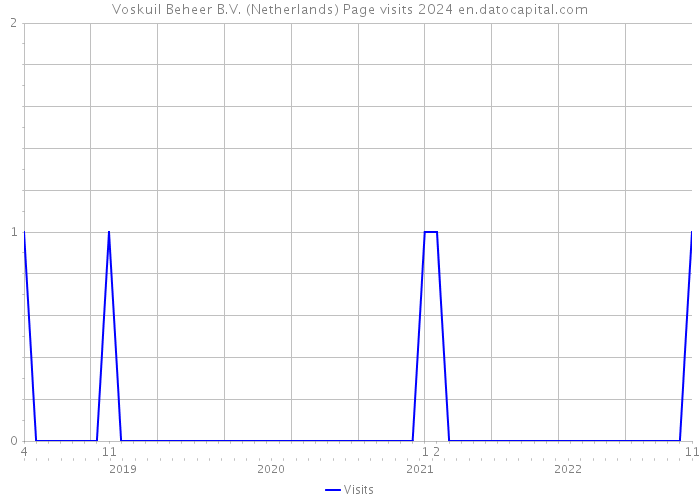 Voskuil Beheer B.V. (Netherlands) Page visits 2024 