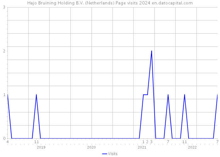 Hajo Bruining Holding B.V. (Netherlands) Page visits 2024 