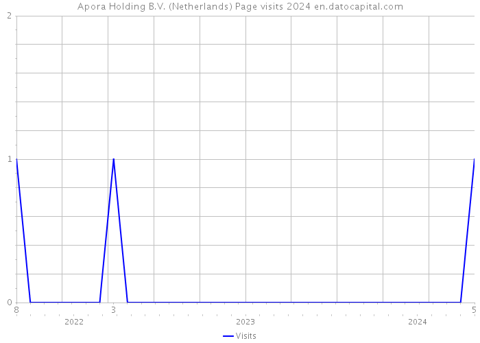 Apora Holding B.V. (Netherlands) Page visits 2024 