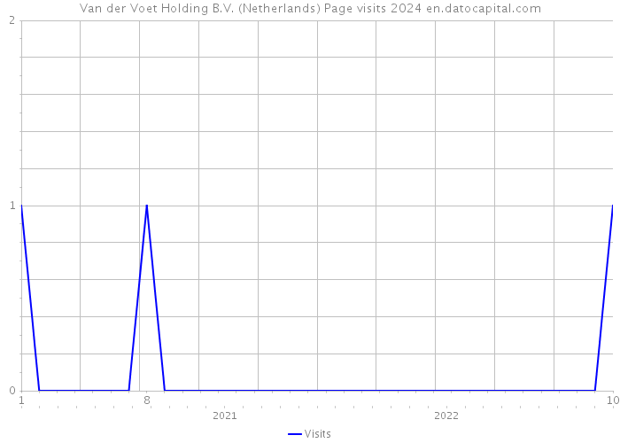 Van der Voet Holding B.V. (Netherlands) Page visits 2024 
