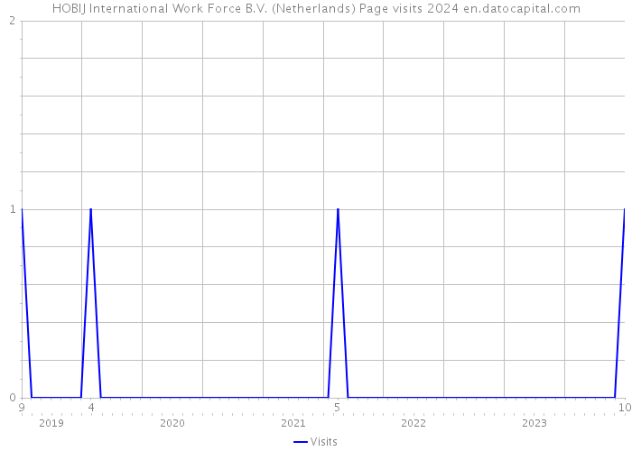 HOBIJ International Work Force B.V. (Netherlands) Page visits 2024 